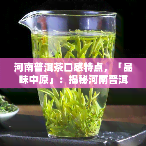 河南普洱茶口感特点，「品味中原」：揭秘河南普洱茶的口感特点