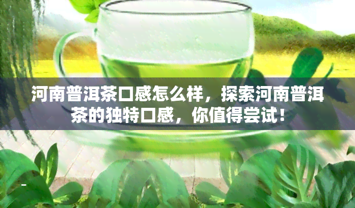 河南普洱茶口感怎么样，探索河南普洱茶的独特口感，你值得尝试！