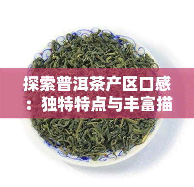 探索普洱茶产区口感：独特特点与丰富描述