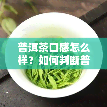 普洱茶口感怎么样？如何判断普洱茶口感好坏？