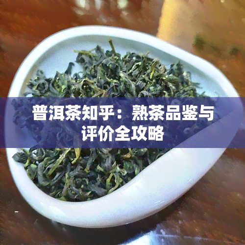 普洱茶知乎：熟茶品鉴与评价全攻略