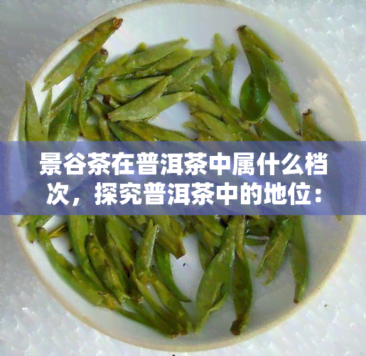 景谷茶在普洱茶中属什么档次，探究普洱茶中的地位：景谷茶属于哪个档次？