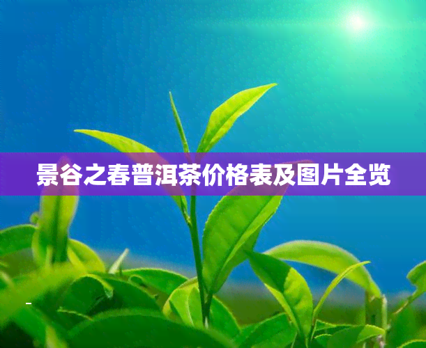 景谷之春普洱茶价格表及图片全览