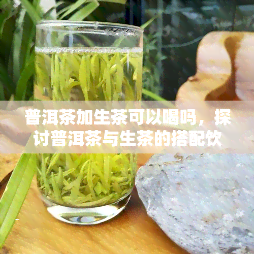 普洱茶加生茶可以喝吗，探讨普洱茶与生茶的搭配饮用是否适宜