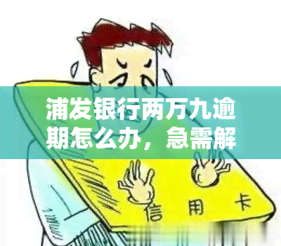 浦发银行两万九逾期怎么办，急需解决！浦发银行两万九的逾期问题该怎么办？