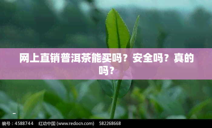 网上直销普洱茶能买吗？安全吗？真的吗？