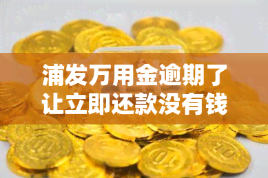 浦发万用金逾期了让立即还款没有钱怎么办，浦发万用金逾期，无法立即还款，应如何解决？