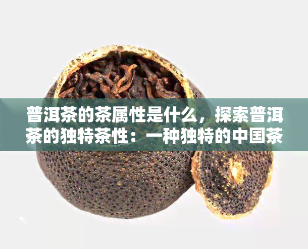 普洱茶的茶属性是什么，探索普洱茶的独特茶性：一种独特的中国茶叶