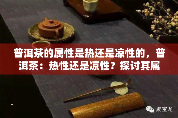 普洱茶的属性是热还是凉性的，普洱茶：热性还是凉性？探讨其属性特征