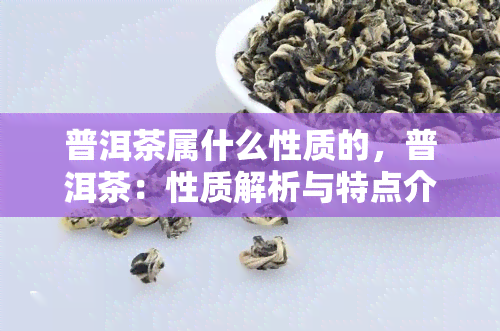 普洱茶属什么性质的，普洱茶：性质解析与特点介绍