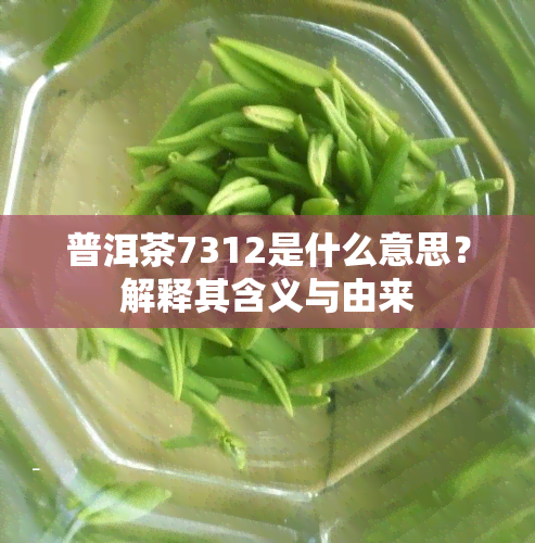 普洱茶7312是什么意思？解释其含义与由来