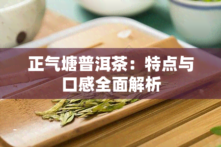 正气塘普洱茶：特点与口感全面解析