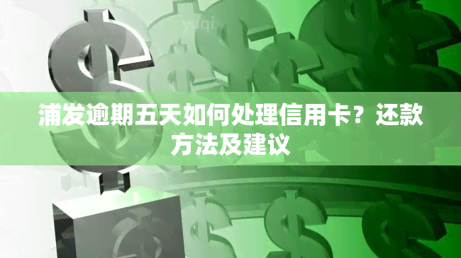 浦发逾期五天如何处理信用卡？还款方法及建议