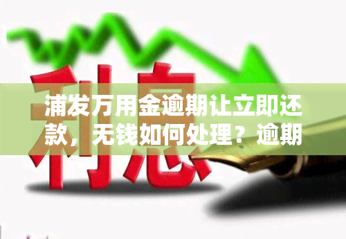 浦发万用金逾期让立即还款，无钱如何处理？逾期多久会要求一次性结清？