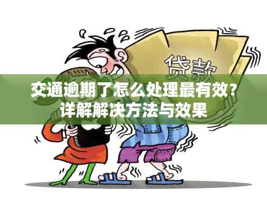 交通逾期了怎么处理最有效？详解解决方法与效果