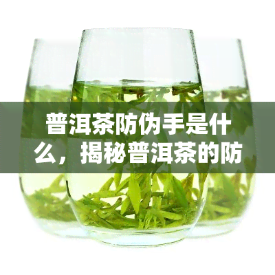 普洱茶防伪手是什么，揭秘普洱茶的防伪手，如何鉴别真伪？