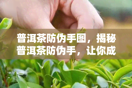 普洱茶防伪手图，揭秘普洱茶防伪手，让你成为品鉴专家！