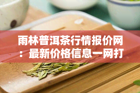 雨林普洱茶行情报价网：最新价格信息一网打尽