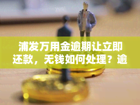 浦发万用金逾期让立即还款，无钱如何处理？逾期多久需一次性结清？