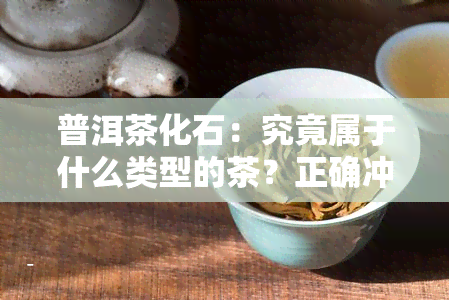 普洱茶化石：究竟属于什么类型的茶？正确冲泡方法全解析