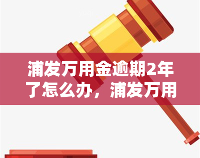 浦发万用金逾期2年了怎么办，浦发万用金逾期两年，如何解决？