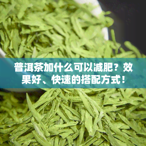 普洱茶加什么可以减肥？效果好、快速的搭配方式！