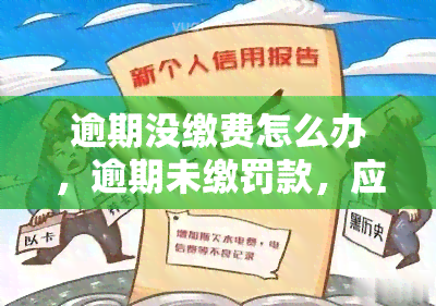 逾期没缴费怎么办，逾期未缴罚款，应该如何处理？