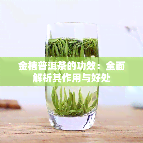 金桔普洱茶的功效：全面解析其作用与好处