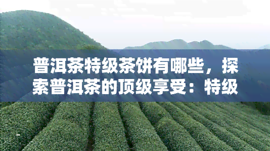 普洱茶特级茶饼有哪些，探索普洱茶的顶级享受：特级茶饼品种大盘点