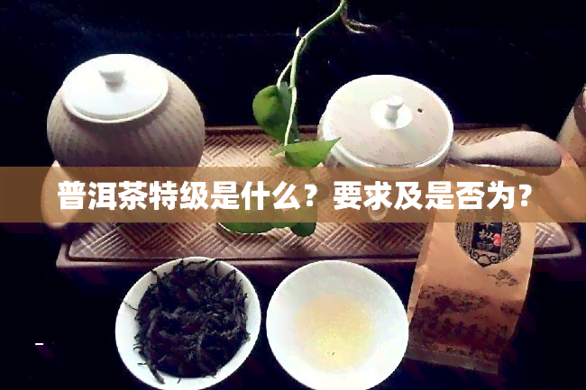 普洱茶特级是什么？要求及是否为？