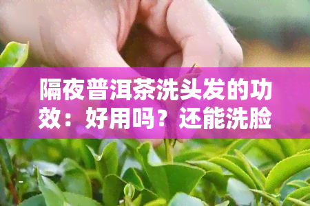 隔夜普洱茶洗头发的功效：好用吗？还能洗脸吗？