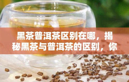 黑茶普洱茶区别在哪，揭秘黑茶与普洱茶的区别，你了解多少？