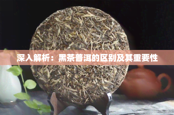 深入解析：黑茶普洱的区别及其重要性