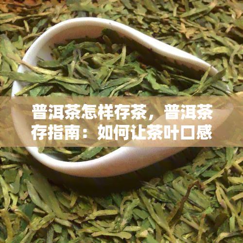 普洱茶怎样存茶，普洱茶存指南：如何让茶叶口感更佳？