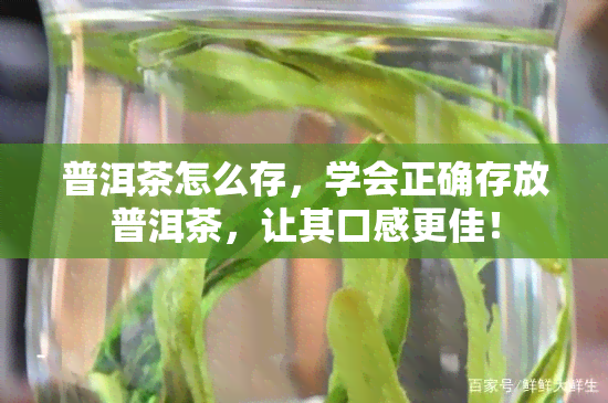 普洱茶怎么存，学会正确存放普洱茶，让其口感更佳！