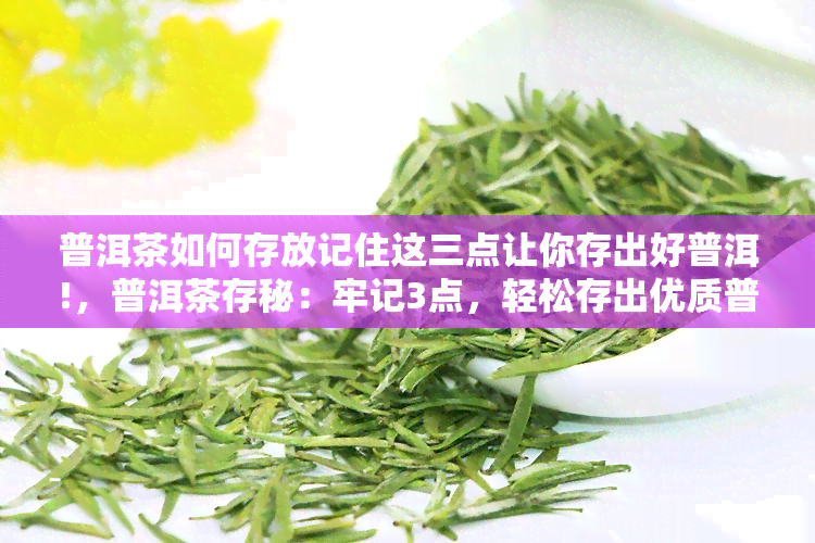 普洱茶如何存放记住这三点让你存出好普洱!，普洱茶存秘：牢记3点，轻松存出优质普洱！