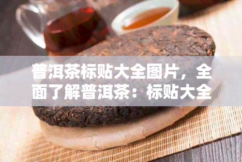 普洱茶标贴大全图片，全面了解普洱茶：标贴大全图片解析