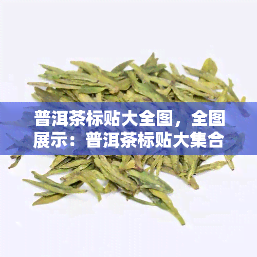 普洱茶标贴大全图，全图展示：普洱茶标贴大 *** ！