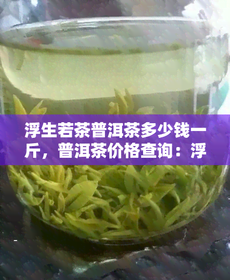 浮生若茶普洱茶多少钱一斤，普洱茶价格查询：浮生若茶每斤售价多少？