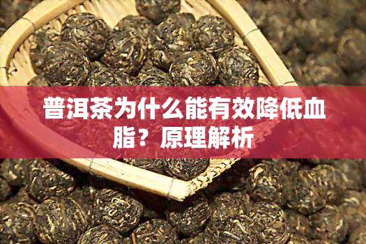 普洱茶为什么能有效降低血脂？原理解析