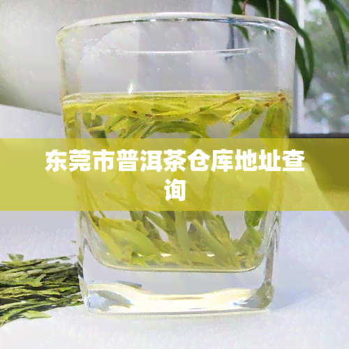 东莞市普洱茶仓库地址查询