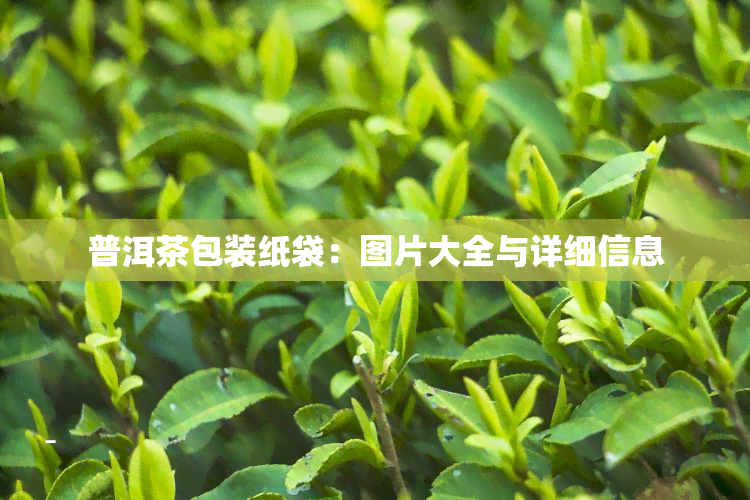 普洱茶包装纸袋：图片大全与详细信息