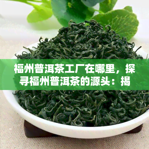 福州普洱茶工厂在哪里，探寻福州普洱茶的源头：揭秘福州普洱茶工厂位置