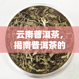 云南普洱茶，揭南普洱茶的真相：一场关于茶叶质量和商业诚信的斗争