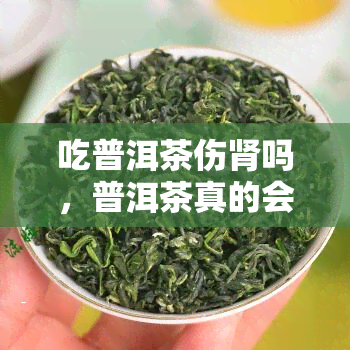 吃普洱茶伤肾吗，普洱茶真的会伤害肾脏吗？