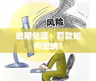 逾期处理：罚款如何缴纳？