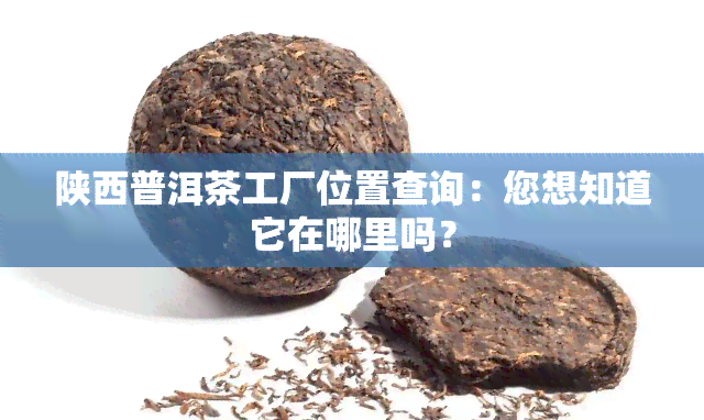 陕西普洱茶工厂位置查询：您想知道它在哪里吗？