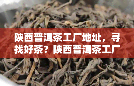 陕西普洱茶工厂地址，寻找好茶？陕西普洱茶工厂地址全攻略！