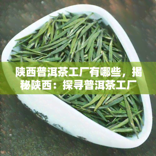 陕西普洱茶工厂有哪些，揭秘陕西：探寻普洱茶工厂全攻略