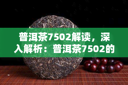 普洱茶7502解读，深入解析：普洱茶7502的含义与特点